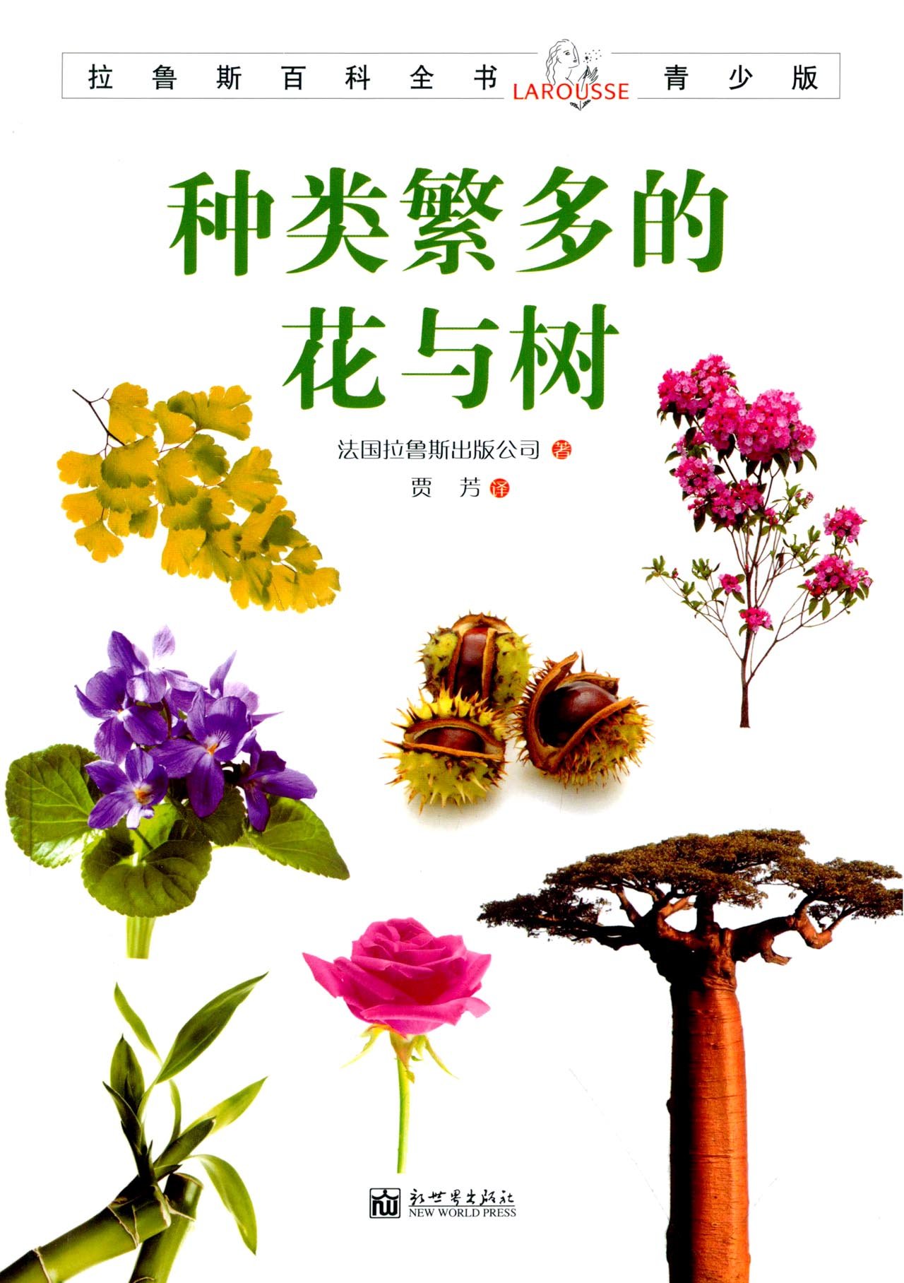 《种类繁多的花与树》