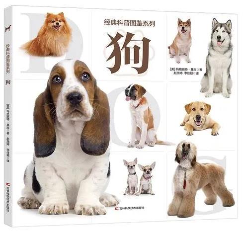 《狗》