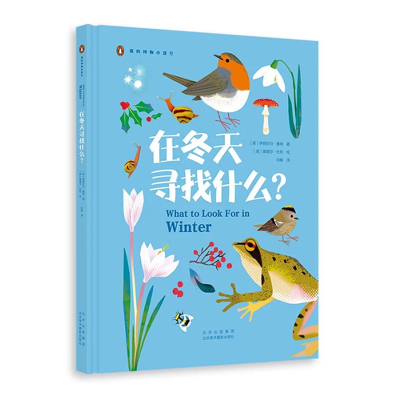 《在冬天寻找什么？》
